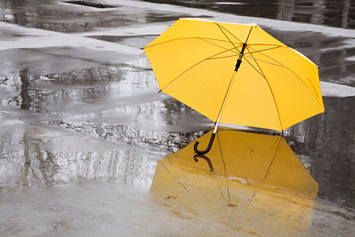 yellow umbrella