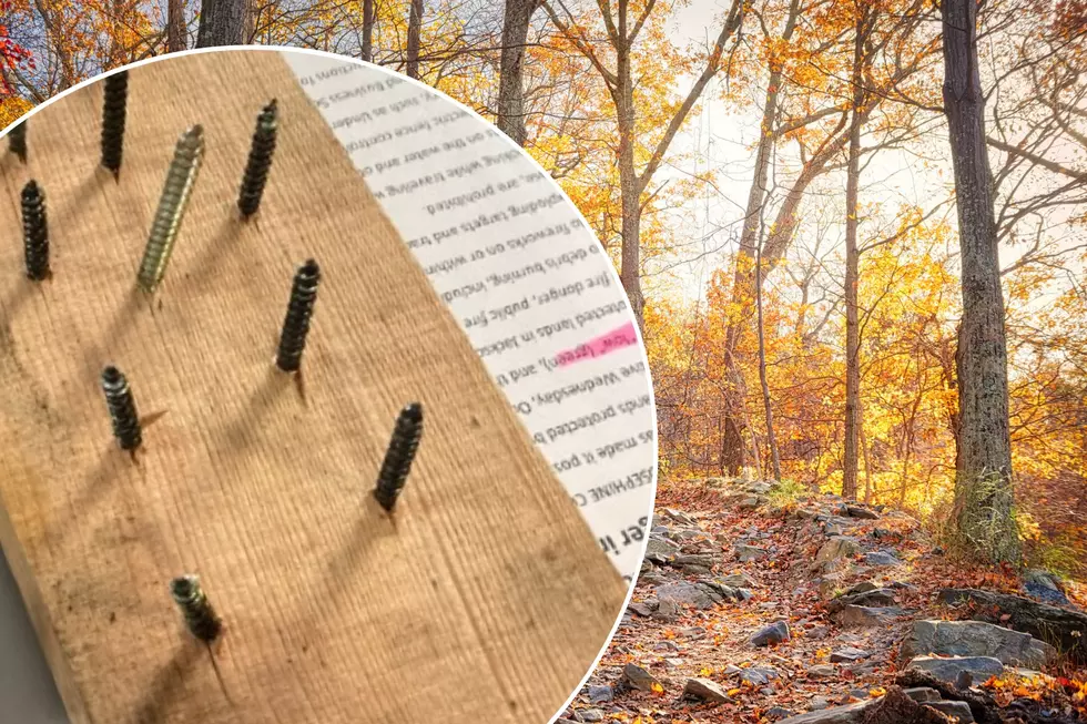 Parks Service Alerts Hikers to Disturbing Discovery on Popular Trail