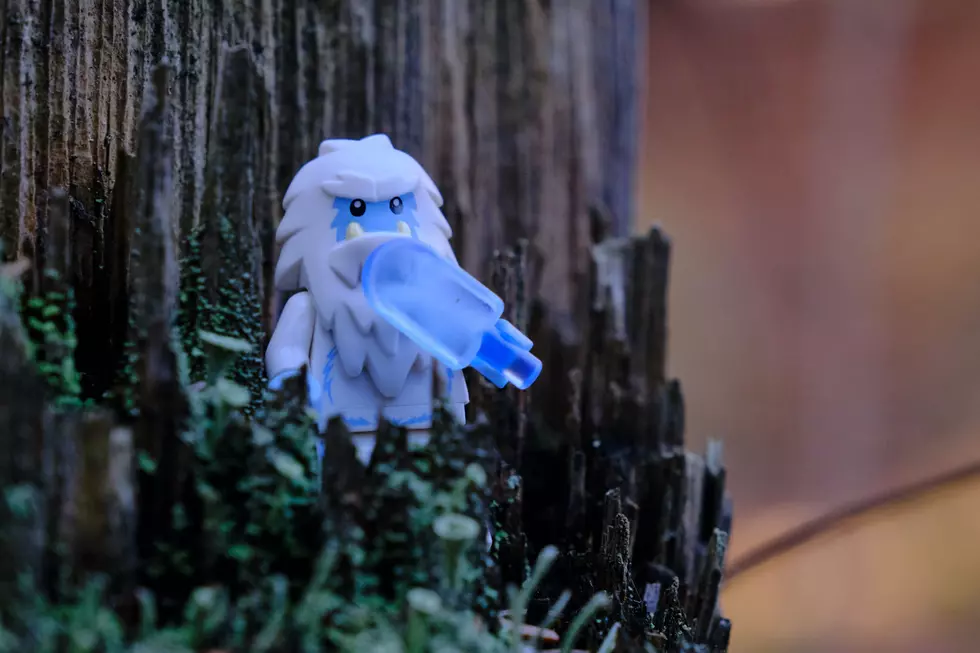 Woman Says She Saw a Short, White Bigfoot Near Hannibal, Missouri