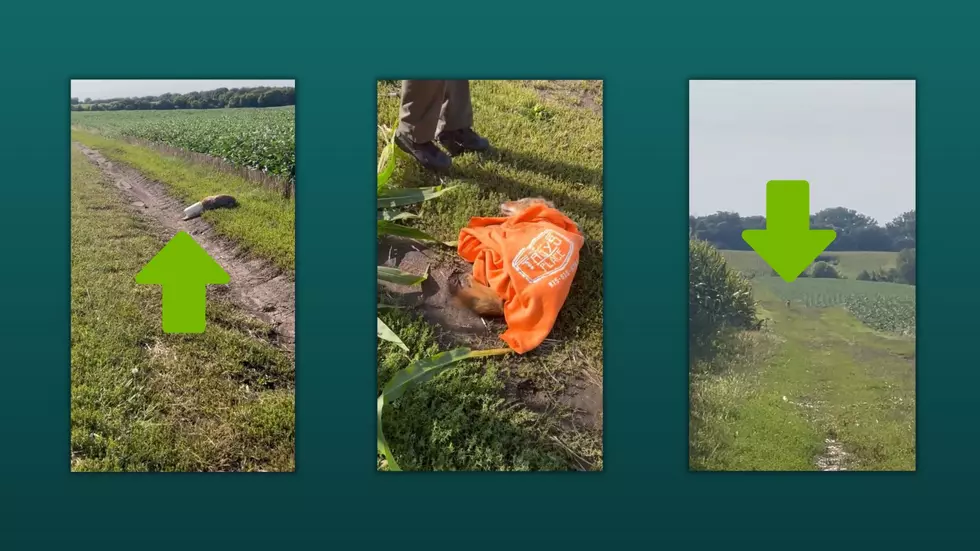 Watch Illinois Heroes Rescue a Coyote with Container on its Head