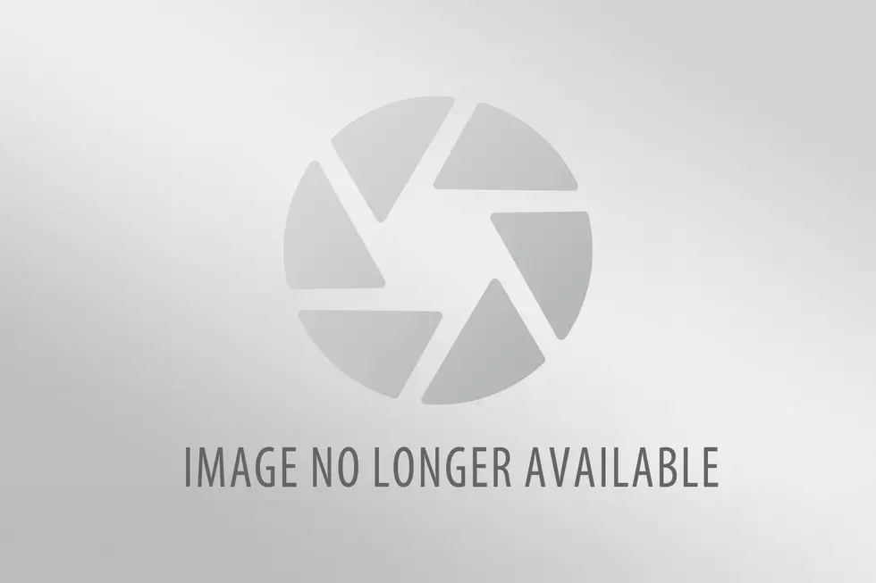 Dog Barks then a Ghost Appears on Midwest Family Security Camera