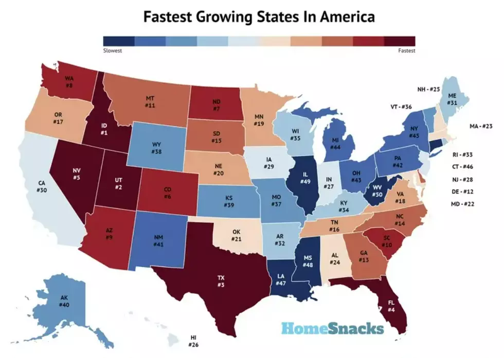 Infographic, Homesnacks