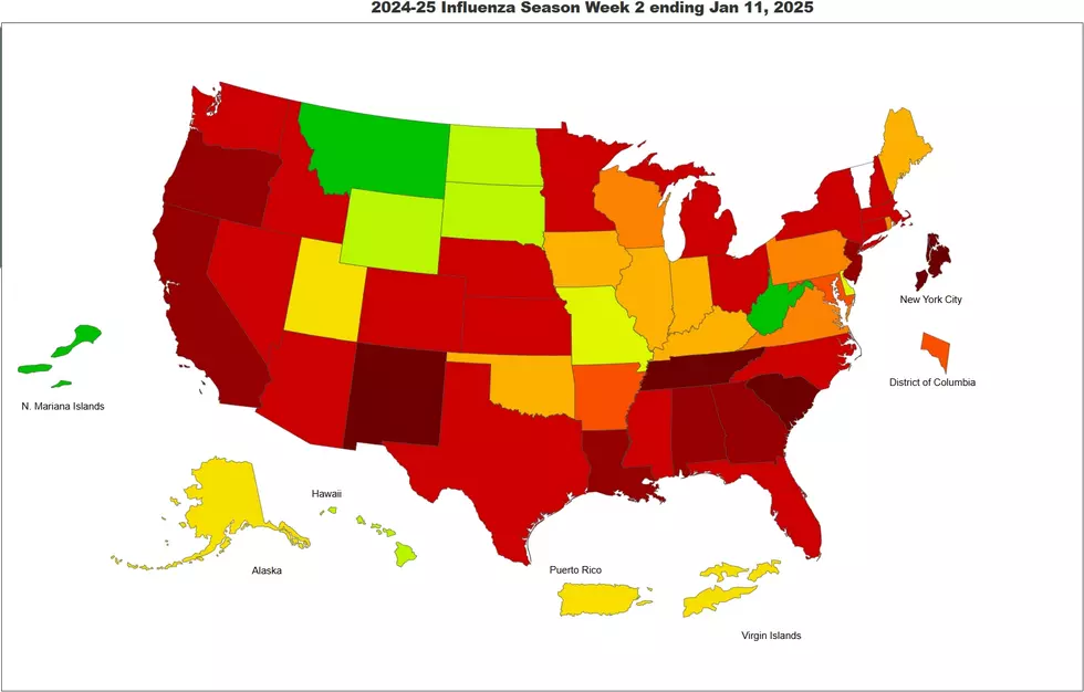 Infographic, CDC