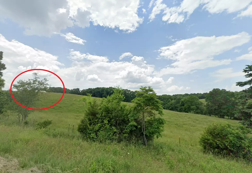 Lead Hill, Missouri