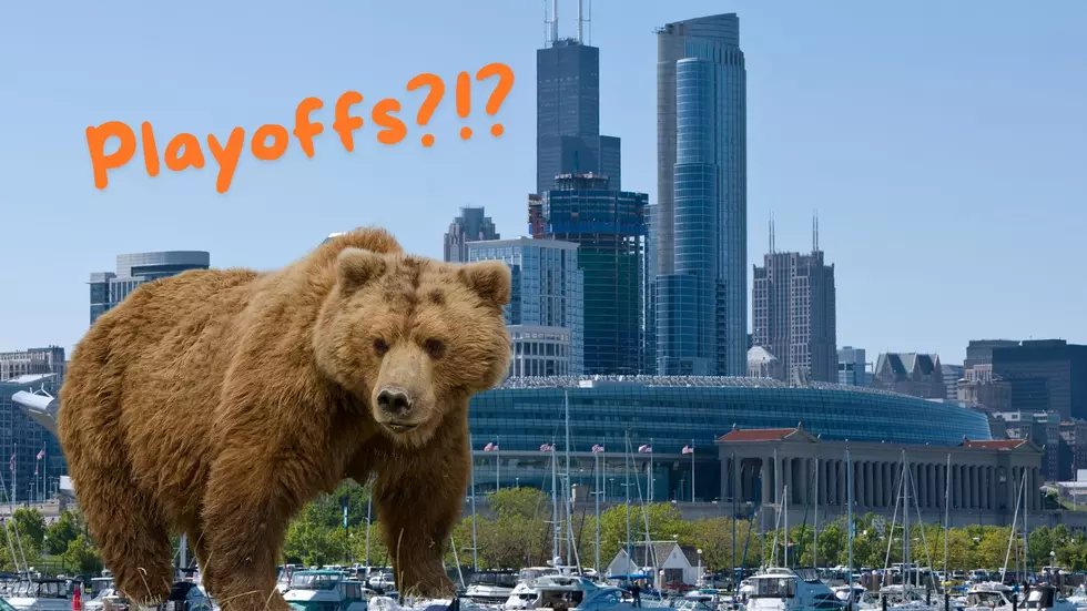 How many Games will the Chicago Bears Win in 2024/2025?
