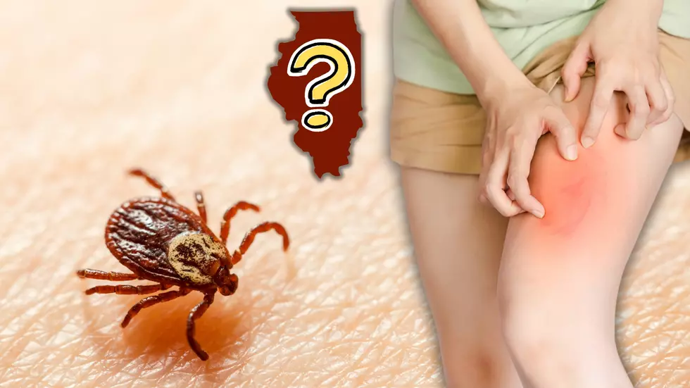Thousands in Illinois Have Itchy Bites from Nearly Invisible Pest