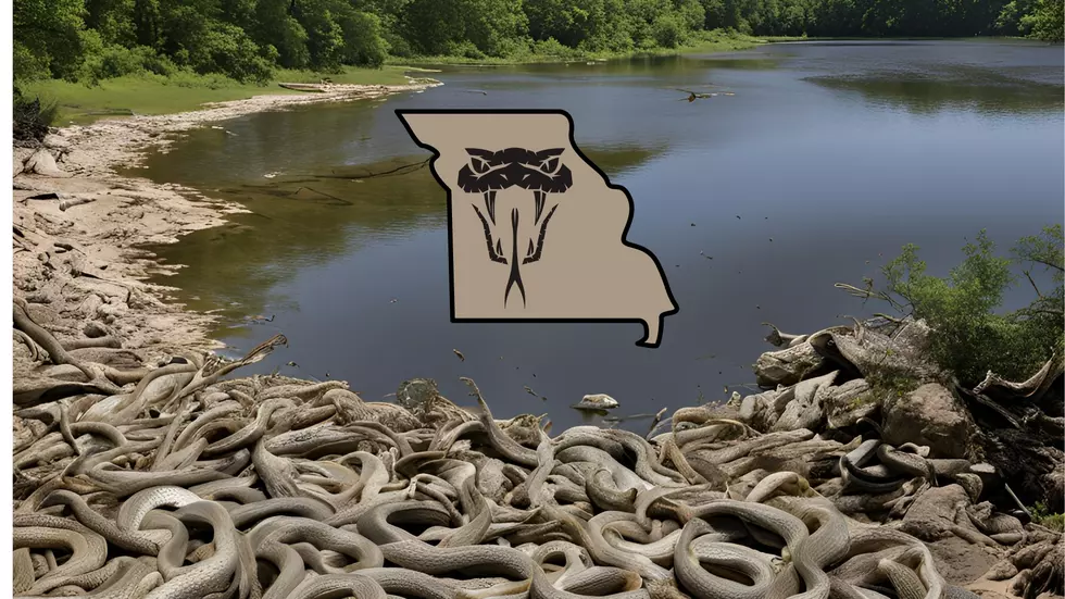 Missouri’s Most Snake-Infested Lake is 40,000 Acres of Vipers