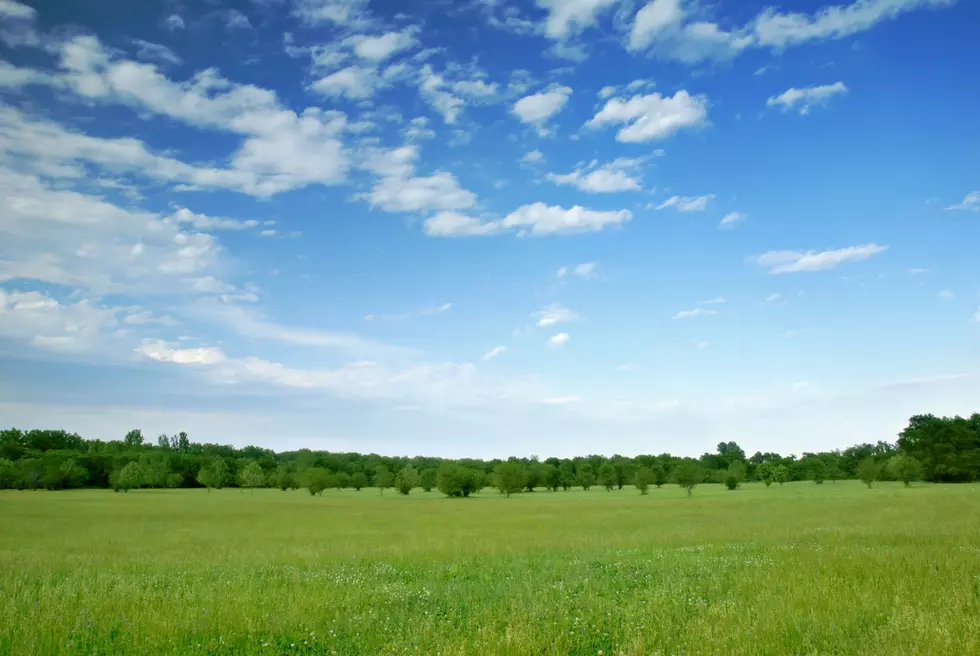 Conservation Group Seeks Money For Missouri Prairie Purchase