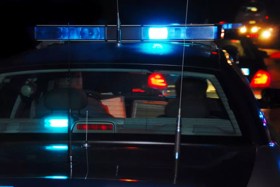 Driver and Passenger Cited Following I-172 On Ramp Crash